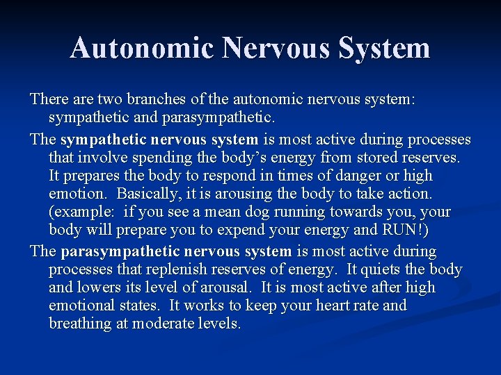 Autonomic Nervous System There are two branches of the autonomic nervous system: sympathetic and