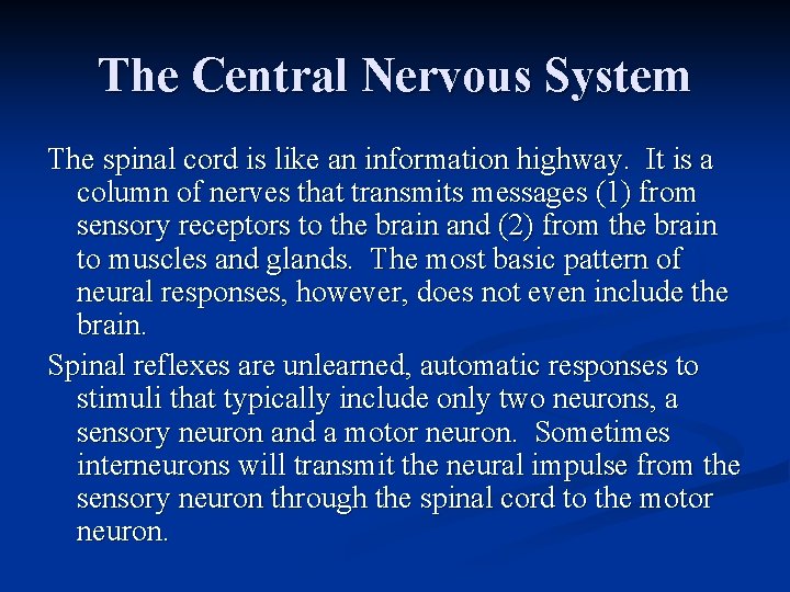 The Central Nervous System The spinal cord is like an information highway. It is
