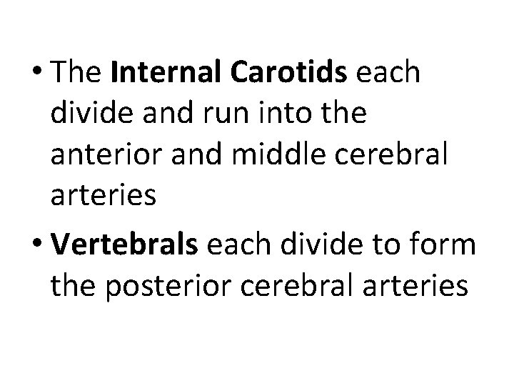  • The Internal Carotids each divide and run into the anterior and middle