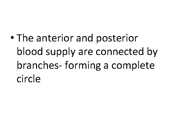  • The anterior and posterior blood supply are connected by branches- forming a