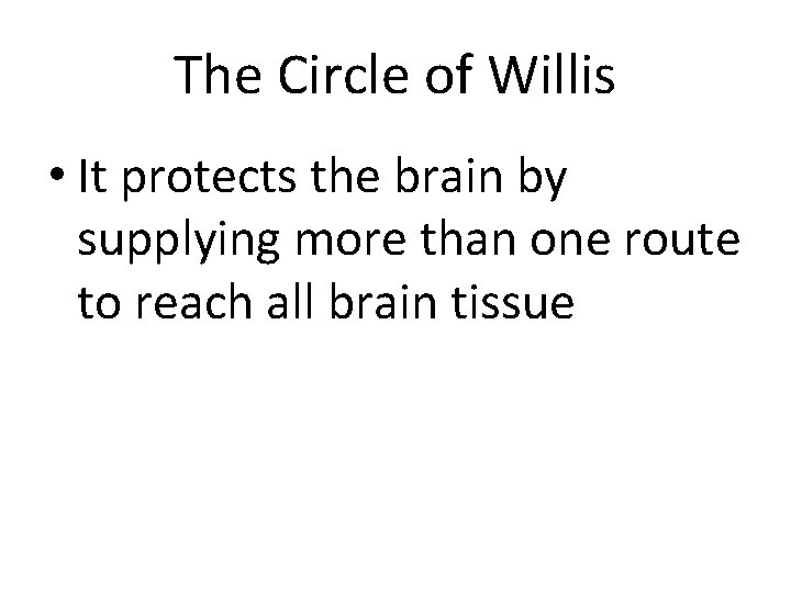 The Circle of Willis • It protects the brain by supplying more than one