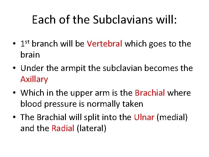 Each of the Subclavians will: • 1 st branch will be Vertebral which goes