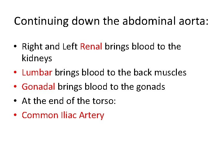 Continuing down the abdominal aorta: • Right and Left Renal brings blood to the