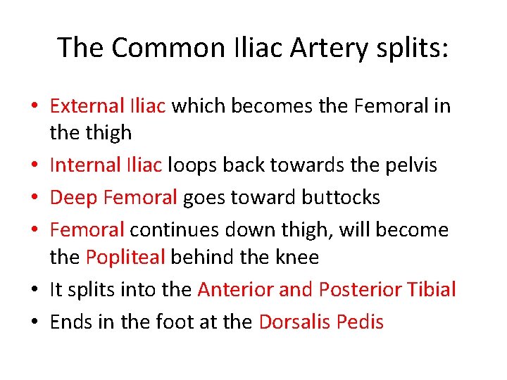 The Common Iliac Artery splits: • External Iliac which becomes the Femoral in the