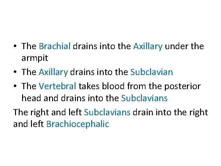 • The Brachial drains into the Axillary under the armpit • The Axillary