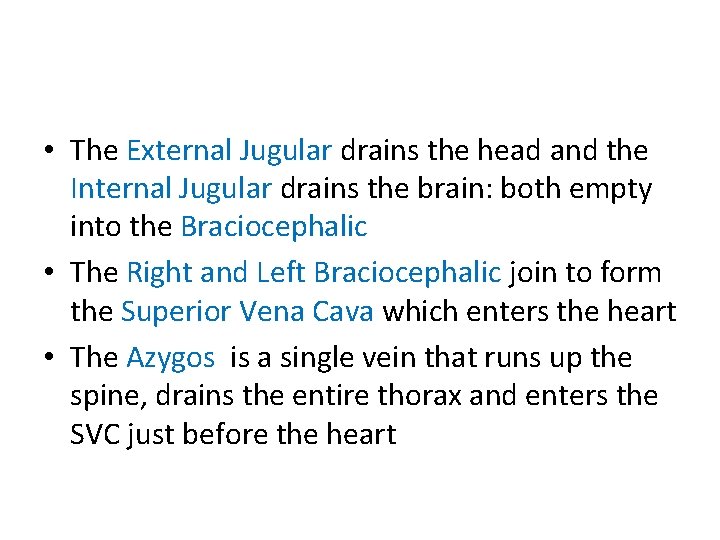  • The External Jugular drains the head and the Internal Jugular drains the