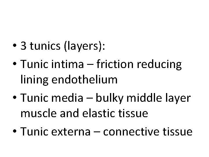  • 3 tunics (layers): • Tunic intima – friction reducing lining endothelium •