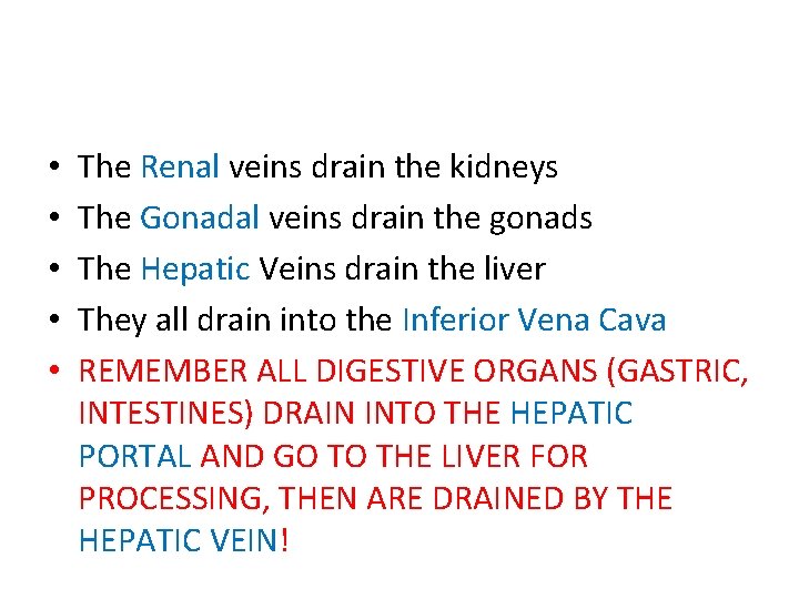  • • • The Renal veins drain the kidneys The Gonadal veins drain