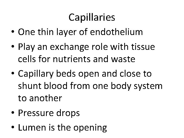 Capillaries • One thin layer of endothelium • Play an exchange role with tissue