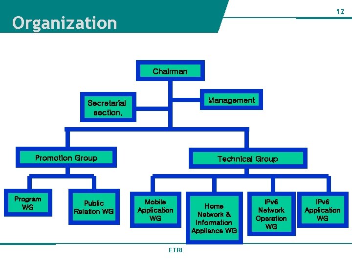 12 Organization Chairman Management Secretarial section. Promotion Group Program WG Public Relation WG Technical