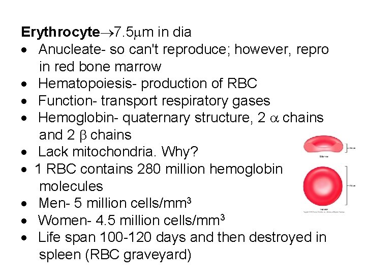 Erythrocyte 7. 5 m in dia · Anucleate- so can't reproduce; however, repro in