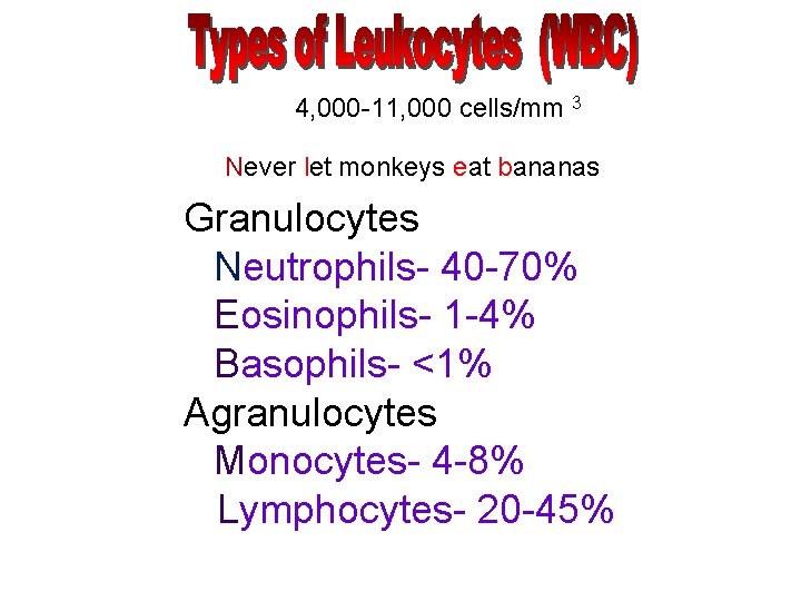 4, 000 -11, 000 cells/mm 3 Never let monkeys eat bananas Granulocytes Neutrophils- 40