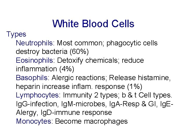 White Blood Cells Types Neutrophils: Most common; phagocytic cells destroy bacteria (60%) Eosinophils: Detoxify