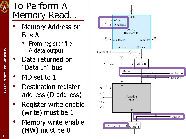 To Perform A Memory Read… • Memory Address on Basic Processor Structure Bus A To Perform A Memory Read… • Memory Address on Basic Processor Structure Bus A