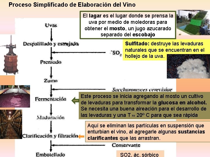 Proceso Simplificado de Elaboración del Vino El lagar es el lugar donde se prensa