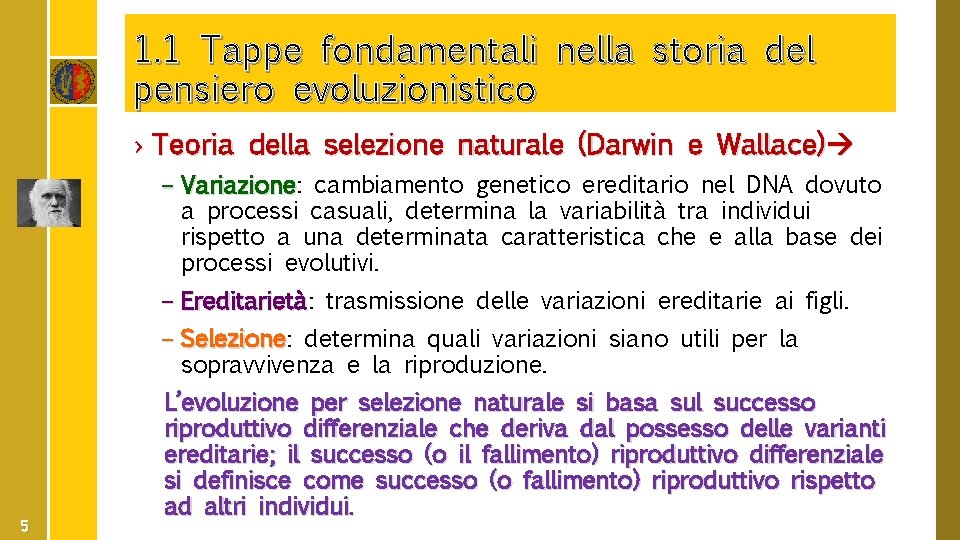 1. 1 Tappe fondamentali nella storia del pensiero evoluzionistico › Teoria della selezione naturale