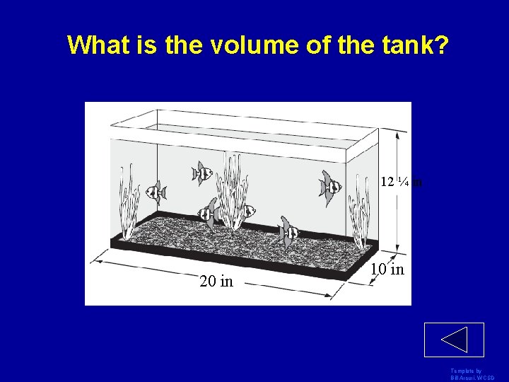 What is the volume of the tank? 12 ¼ in 20 in 10 in