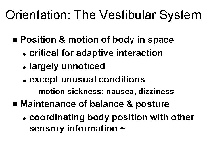 Orientation: The Vestibular System n Position & motion of body in space l critical