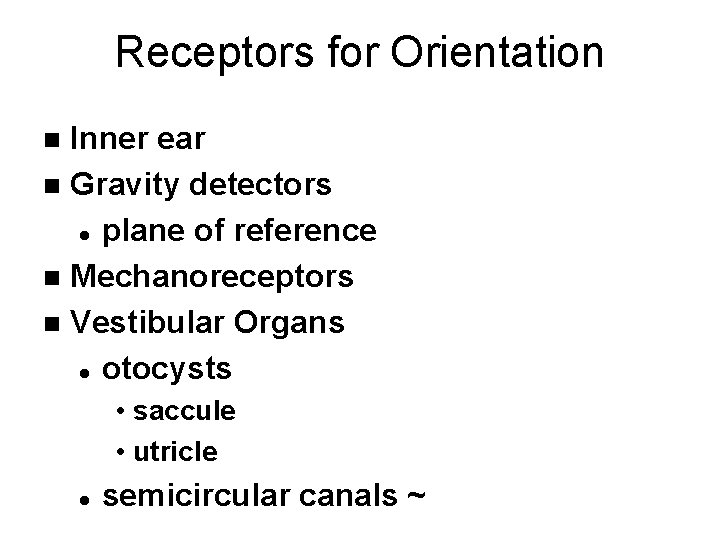 Receptors for Orientation Inner ear n Gravity detectors l plane of reference n Mechanoreceptors