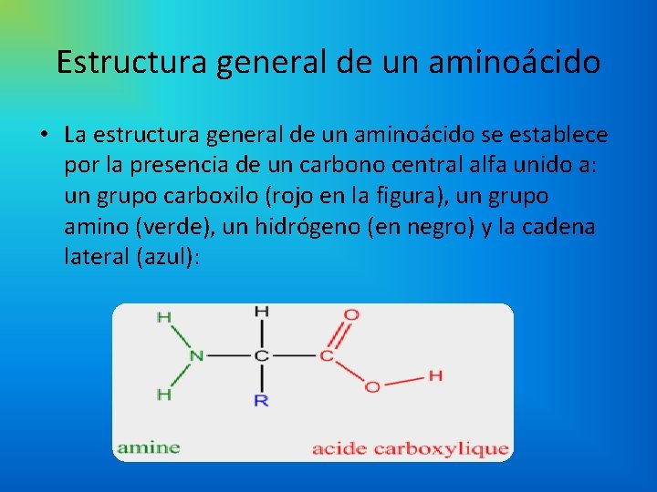 Aminocidos Un aminocido como su nombre indica es
