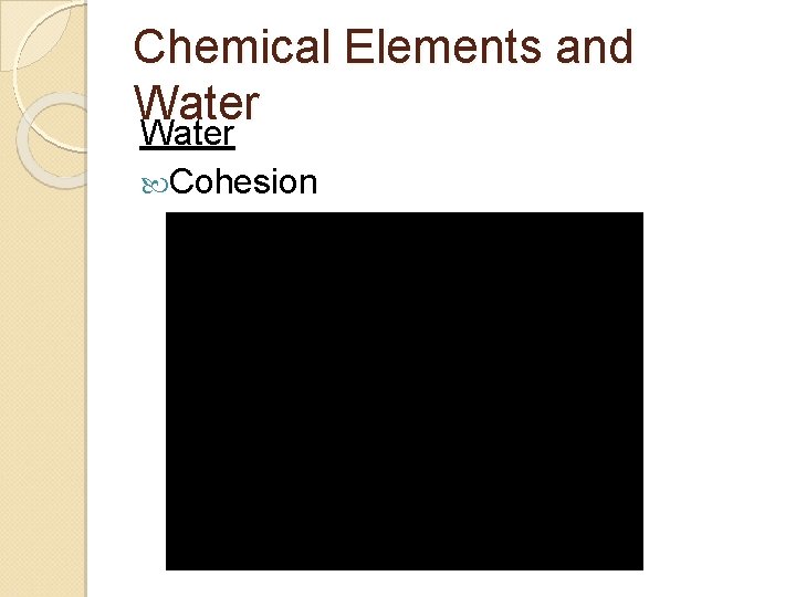 Chemical Elements and Water Cohesion 