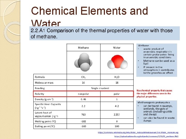 Chemical Elements and Water 