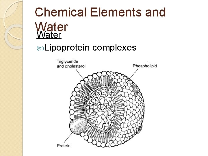 Chemical Elements and Water Lipoprotein complexes 