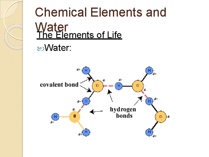 Chemical Elements and Water The Elements of Life Water: 