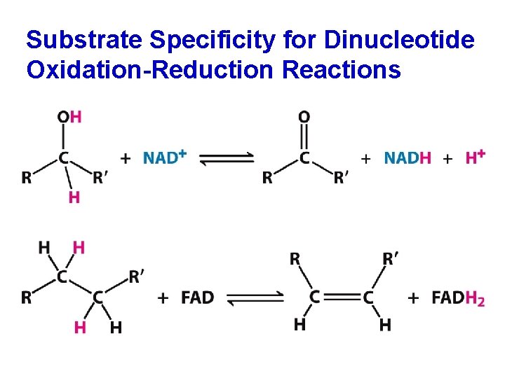 Substrate Specificity for Dinucleotide Oxidation-Reduction Reactions 