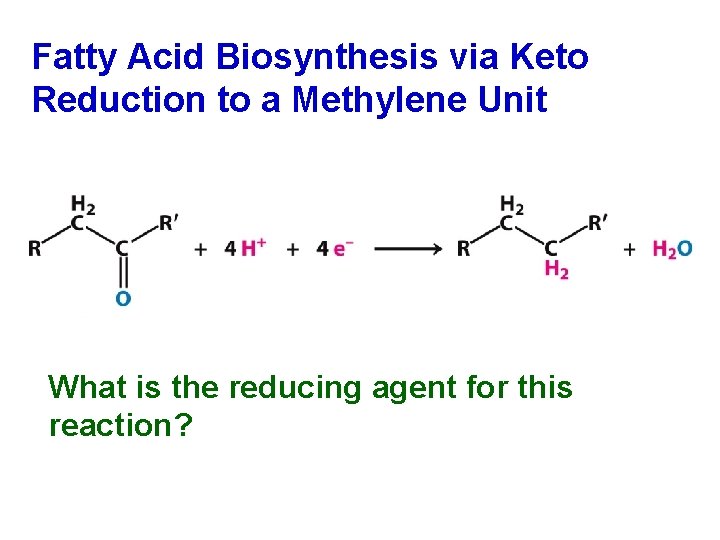 Fatty Acid Biosynthesis via Keto Reduction to a Methylene Unit What is the reducing
