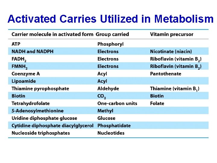 Activated Carries Utilized in Metabolism 