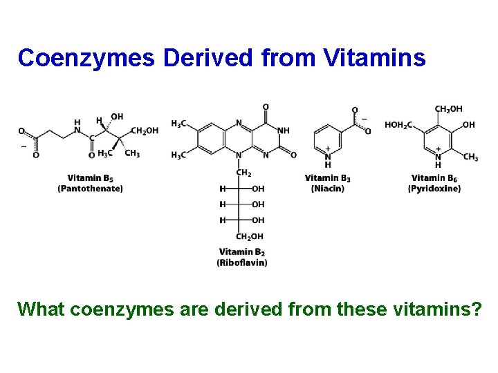 Coenzymes Derived from Vitamins What coenzymes are derived from these vitamins? 