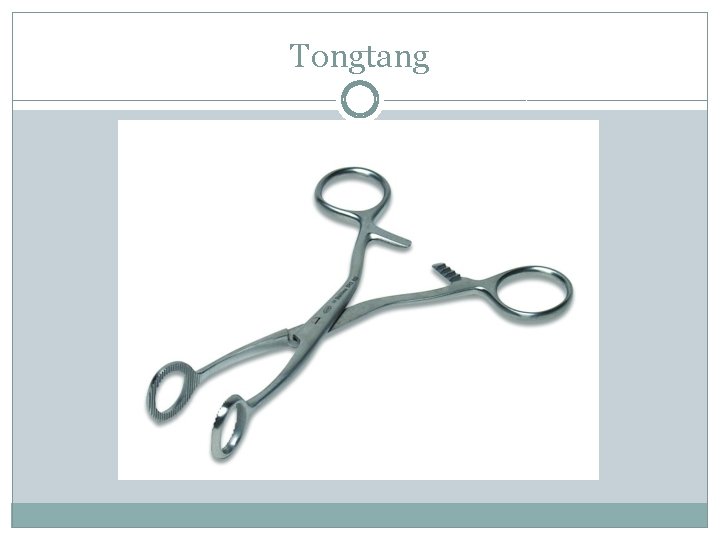 Tongtang 