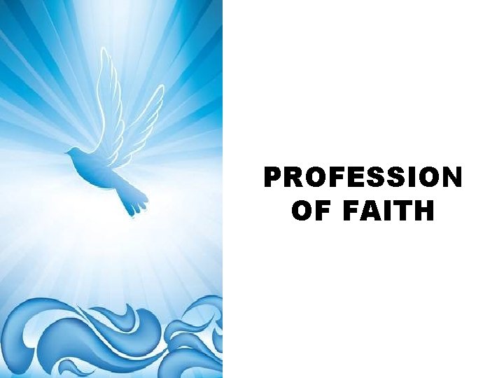PROFESSION OF FAITH 