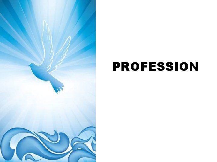 PROFESSION 