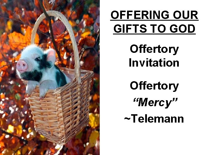 OFFERING OUR GIFTS TO GOD Offertory Invitation Offertory “Mercy” ~Telemann 