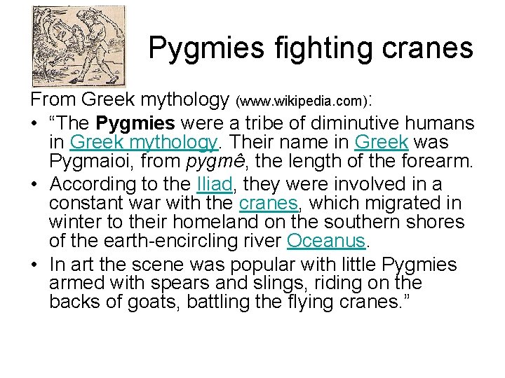 Pygmies fighting cranes From Greek mythology (www. wikipedia. com): • “The Pygmies were a