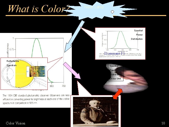 What is Color? Neon Lamp Spectral Power Distribution Illuminant F 1 Reflectance Spectrum Spectral