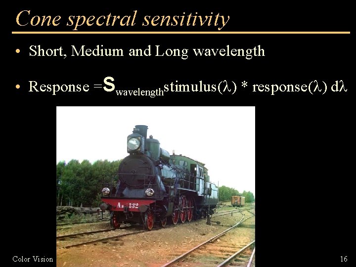 Cone spectral sensitivity • Short, Medium and Long wavelength • Response = Color Vision
