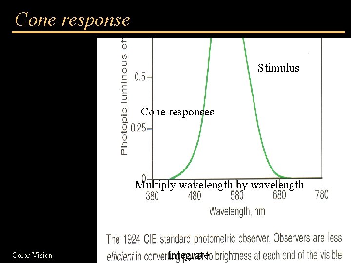 Cone response Stimulus Cone responses Multiply wavelength by wavelength Color Vision Integrate 17 