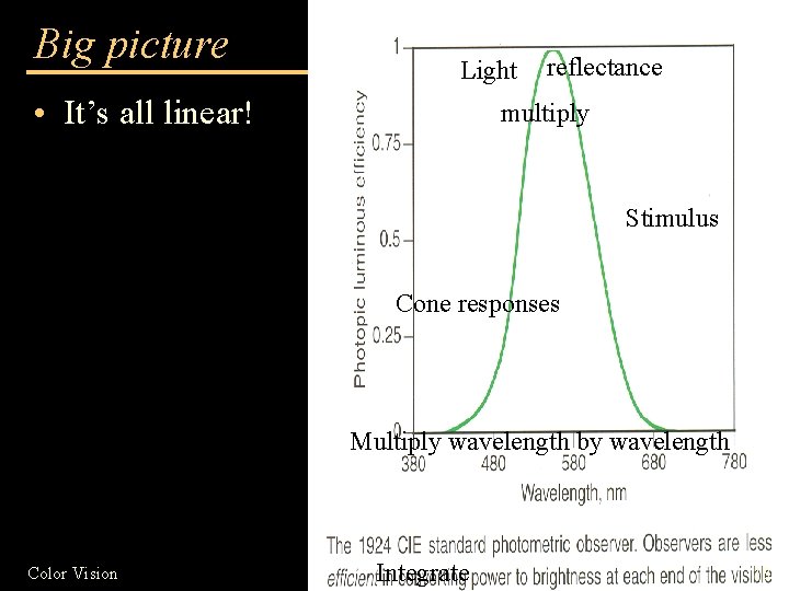 Big picture Light • It’s all linear! reflectance multiply Stimulus Cone responses Multiply wavelength