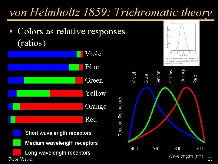 von Helmholtz 1859: Trichromatic theory • Colors as relative responses (ratios) Yellow Orange Red