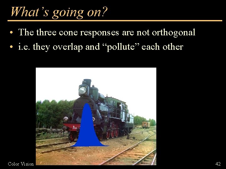 What’s going on? • The three cone responses are not orthogonal • i. e.