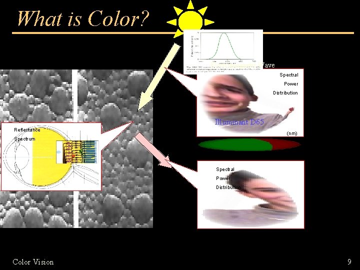 What is Color? Electromagnetic Wave Spectral Power Distribution Illuminant D 65 Reflectance (nm) Spectrum