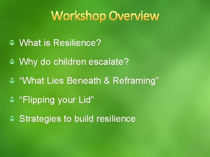 Workshop Overview What is Resilience? Why do children escalate? “What Lies Beneath & Reframing”