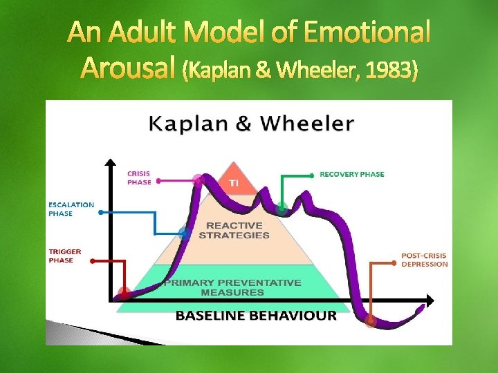 An Adult Model of Emotional Arousal (Kaplan & Wheeler, 1983) 