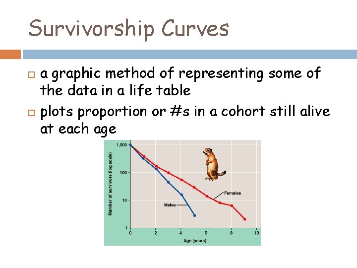 Survivorship Curves a graphic method of representing some of the data in a life