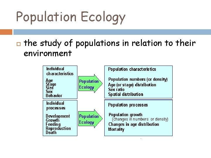 Population Ecology the study of populations in relation to their environment 