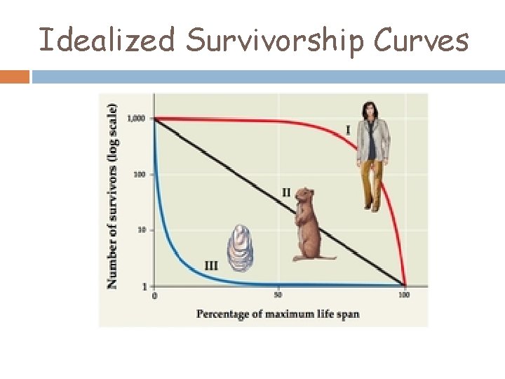 Idealized Survivorship Curves 