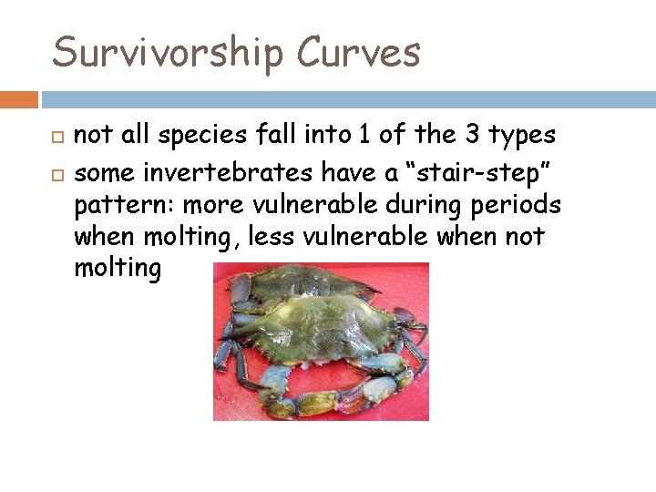 Survivorship Curves not all species fall into 1 of the 3 types some invertebrates